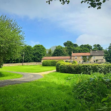 Old Orchard Cottage, Wykeham 斯卡伯勒 外观 照片
