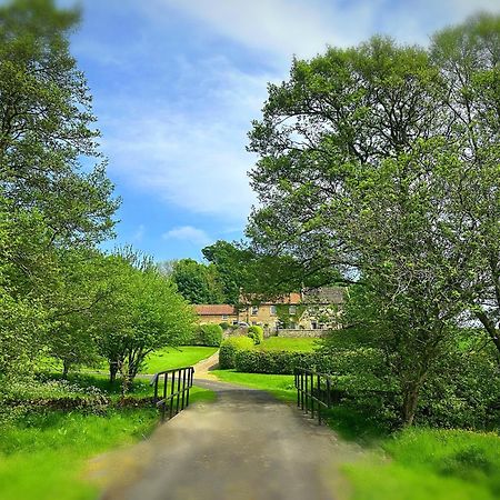Old Orchard Cottage, Wykeham 斯卡伯勒 外观 照片