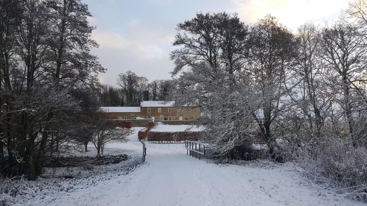 Old Orchard Cottage, Wykeham 斯卡伯勒 外观 照片