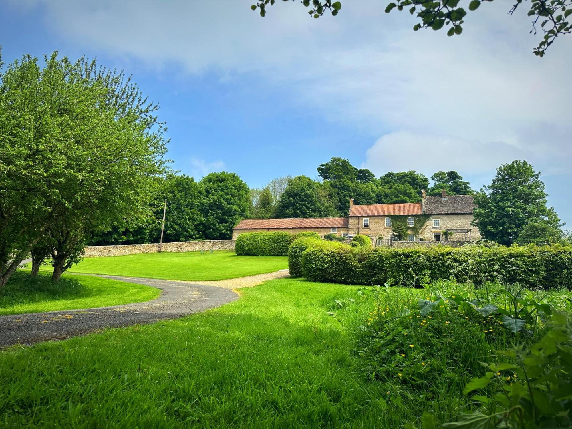 Old Orchard Cottage, Wykeham 斯卡伯勒 外观 照片