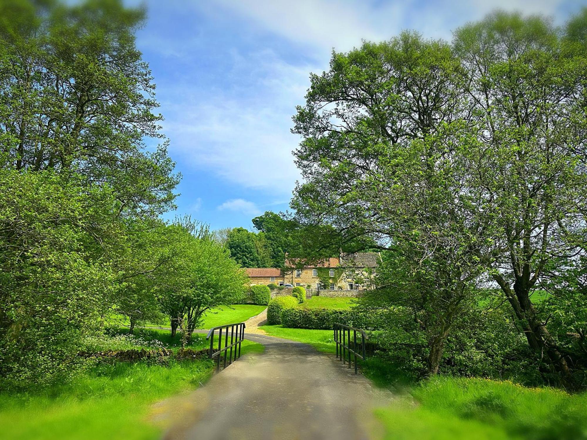 Old Orchard Cottage, Wykeham 斯卡伯勒 外观 照片